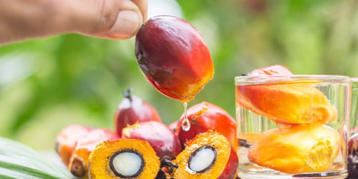 11 choses que vous ne savez pas sur lâhuile en bouteille