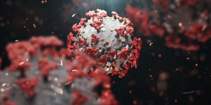 Vaccin Pfizer : les effets indésirables observés en France par l'ANSM