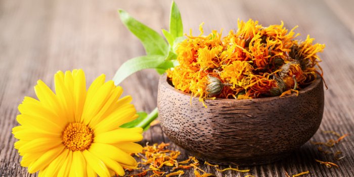 11 fleurs comestibles à mettre dans son assiette