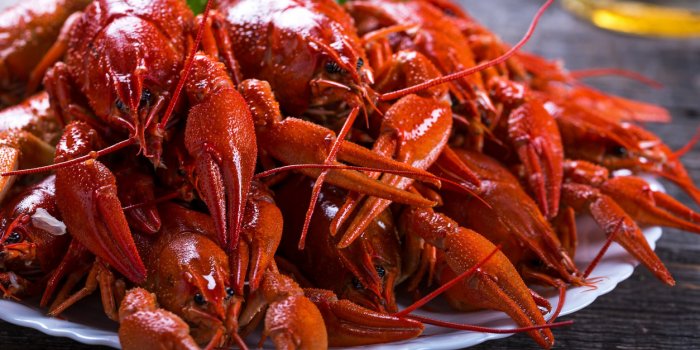 Le top 15 des aliments riches en zinc