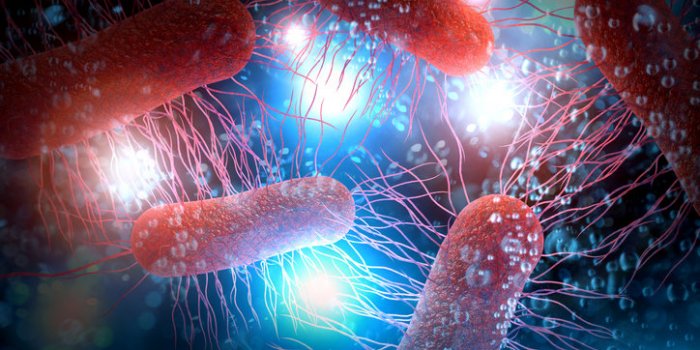escherichia coli also known as ecoli bacteria health science concept 3d illustration