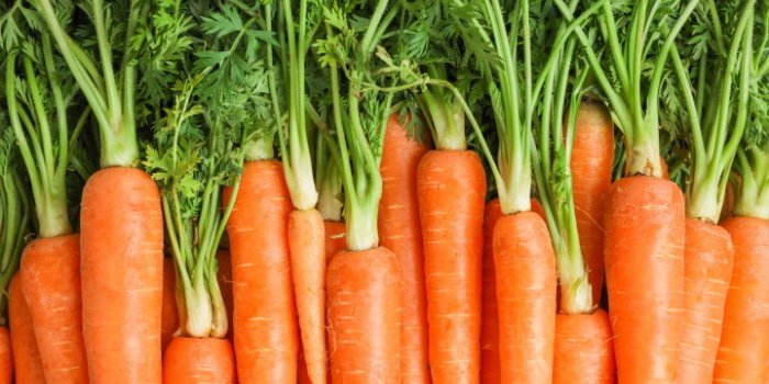 DMLA : des aliments peuvent la prÃ©venir selon une Ã©tude