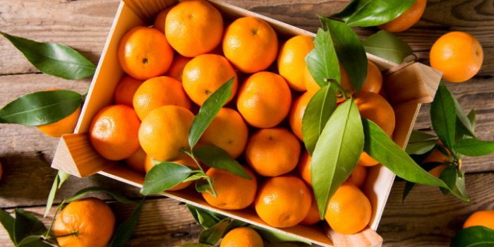 DMLA : des aliments peuvent la prÃ©venir selon une Ã©tude