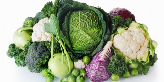 DMLA : des aliments peuvent la prÃ©venir selon une Ã©tude