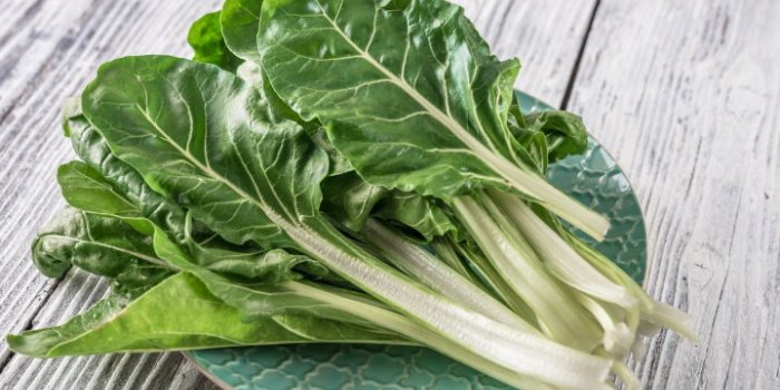 DMLA : des aliments peuvent la prÃ©venir selon une Ã©tude