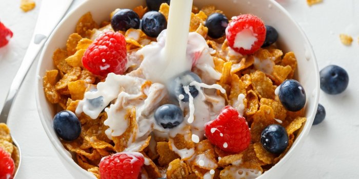 Lâalimentation occidentale favorise les douleurs inflammatoires