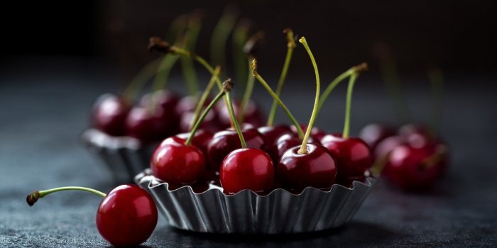 Guêpe : quels sont les aliments qui les attirent ?