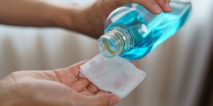 PiqÃ»re de frelon : que faire ? 