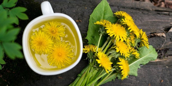 Maladies cardiaques : la vitamine K peut rÃ©duire les risques