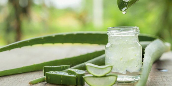 7 astuces pour avoir des lèvres douces