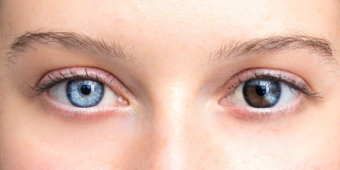 10 choses insolites Ã  savoir sur les yeux