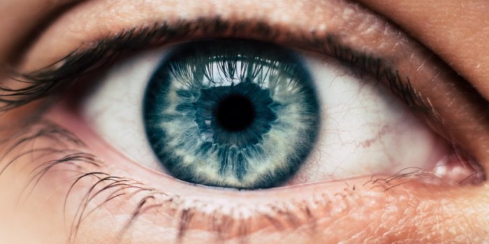 10 choses insolites Ã  savoir sur les yeux