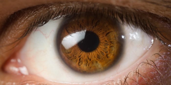 10 choses insolites Ã  savoir sur les yeux