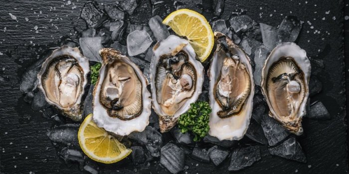 Les aliments de NoÃ«l bons pour les yeux