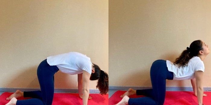 Yoga : 5 postures pour bien digérer la dinde de Noël