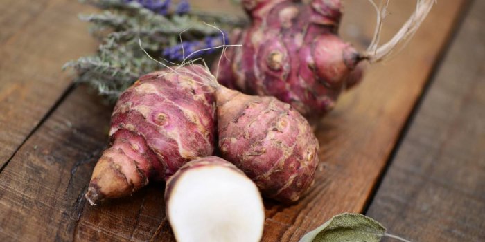 OstÃ©oporose : les aliments qui protÃ¨gent