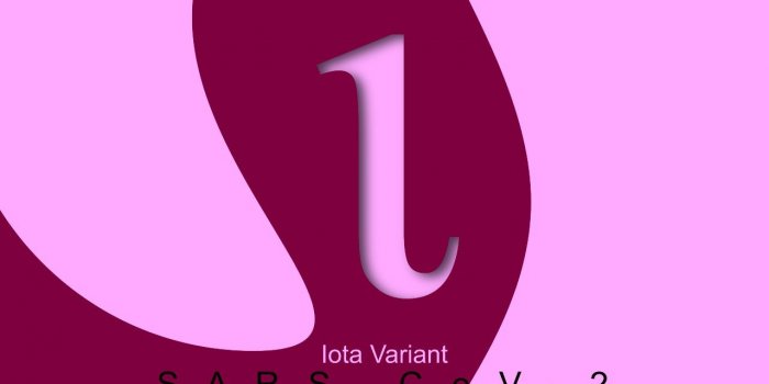 Le B.1.526 est nommÃ© Iota