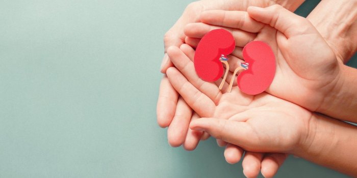 Les patients victimes d'insuffisance rÃ©nale