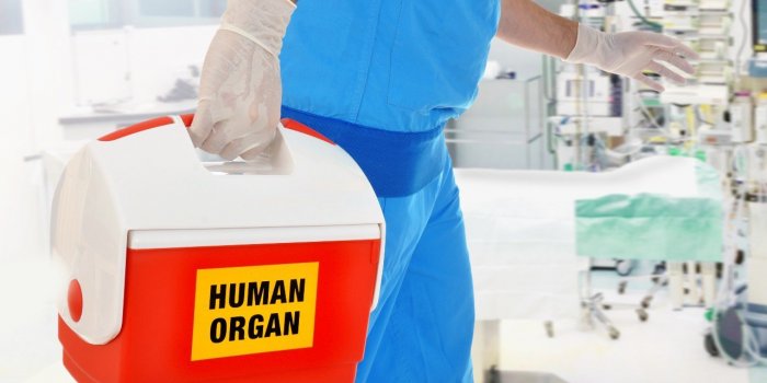 Les personnes transplantÃ©es