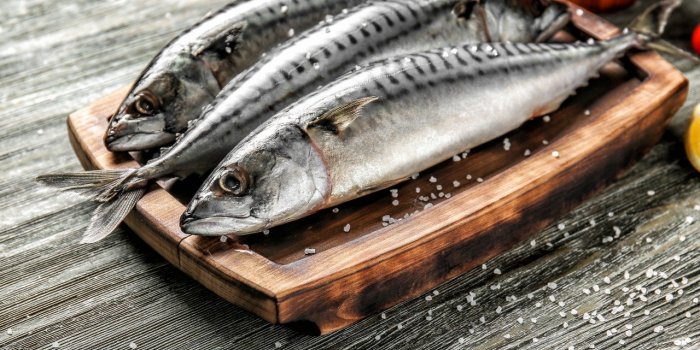 Contre la migraine, misez sur le poisson gras !