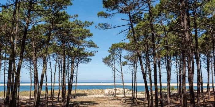 Landes