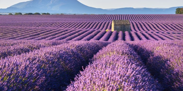 Alpes-de-Haute-Provence