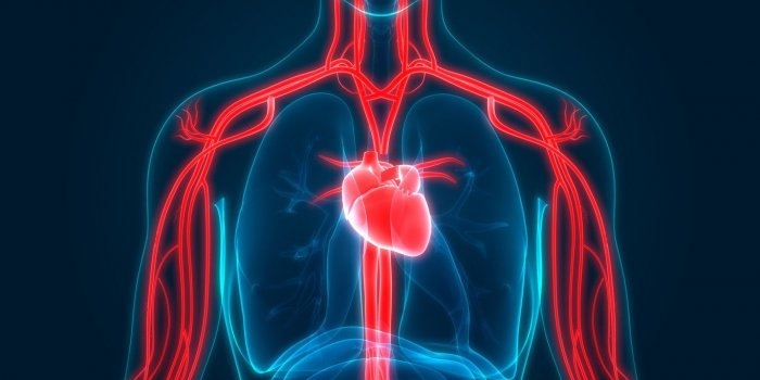 Vous Ãªtes touchÃ© par la vascularite : -90% d'efficacitÃ© du vaccin