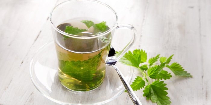 7 tisanes santÃ© pour l'automne