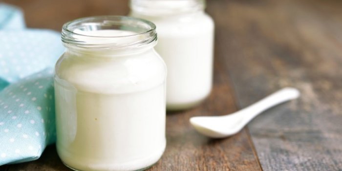 Flore intestinale : 10 aliments riches en probiotiques naturels 