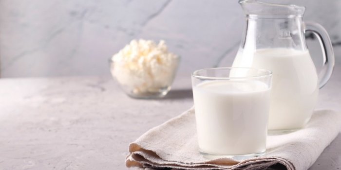 Flore intestinale : 10 aliments riches en probiotiques naturels 