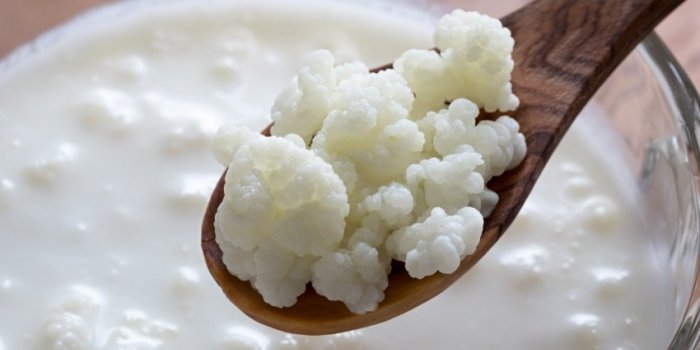 Flore intestinale : 10 aliments riches en probiotiques naturels 