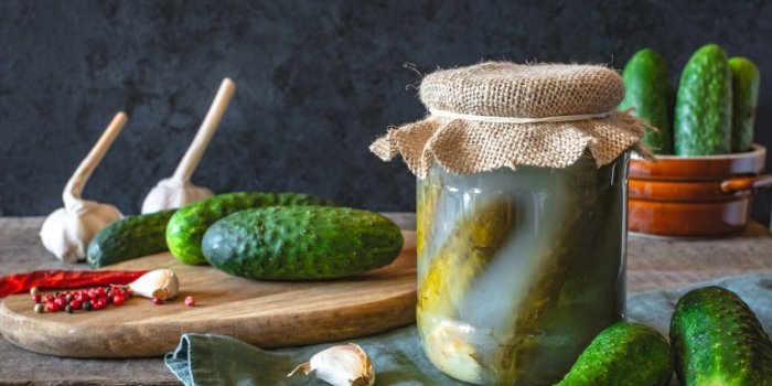 Flore intestinale : 10 aliments riches en probiotiques naturels 