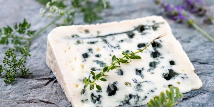 Flore intestinale : 10 aliments riches en probiotiques naturels 