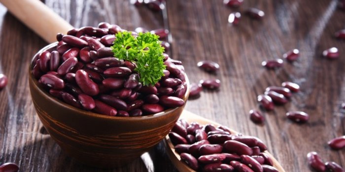 Flore intestinale : 10 aliments riches en probiotiques naturels 