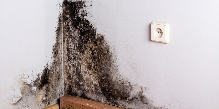 Allergies : ces 8 dÃ©clencheurs sont prÃ©sents dans votre maison