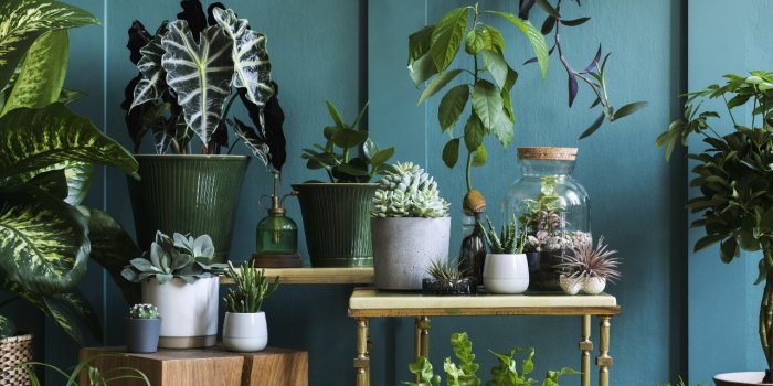 Allergies : ces 8 dÃ©clencheurs sont prÃ©sents dans votre maison