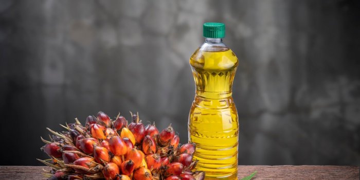 6 huiles de cuisson nÃ©fastes pour la santÃ© 
