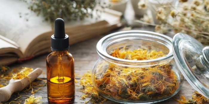 Phytothérapie : 9 plantes médicinales à faire pousser