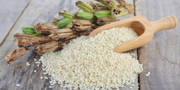 white sesame seed and sesame pods with stem on wooden table
