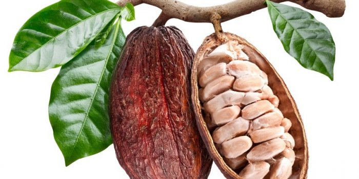 Aflatoxines : quels sont les aliments à risque ?
