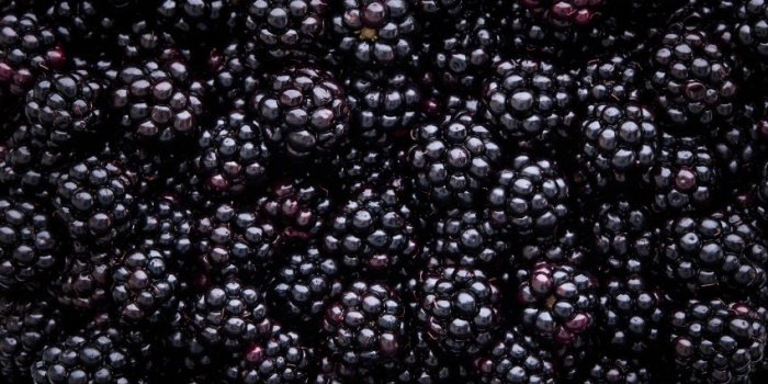 Alimentation : quels sont les fruits les moins sucrés ?