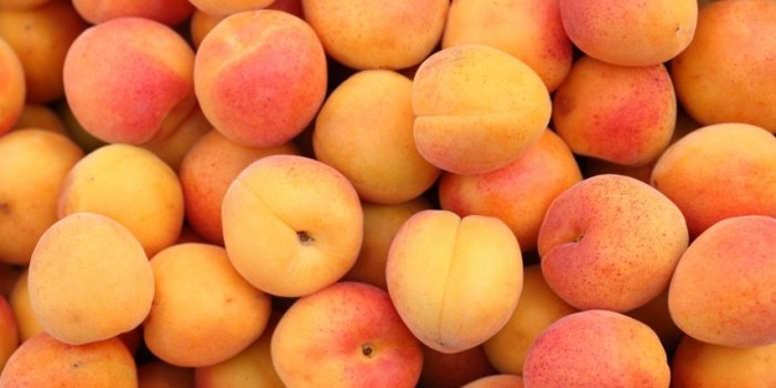Alimentation : quels sont les fruits les moins sucrés ?