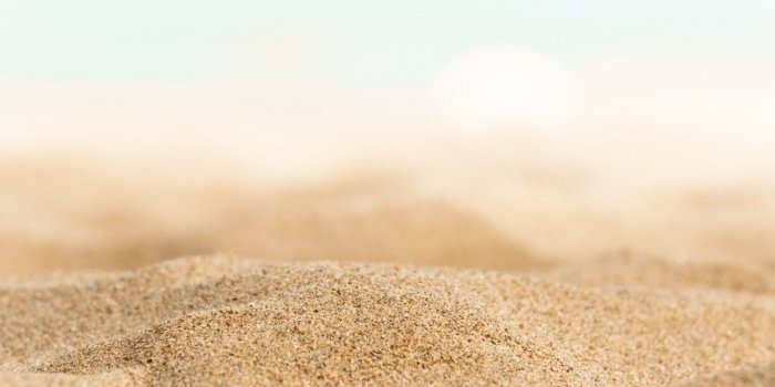 Terre, dent, insecte, sable⦠Toutes ces choses quâon mange sans le savoir