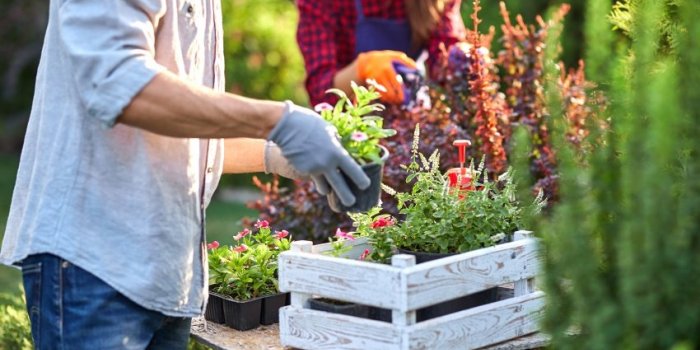 Alzheimer, vitamine D, ostéoporose⦠Les bienfaits du jardinage sur la santé