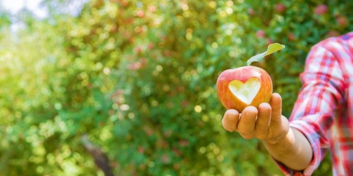 Alzheimer, vitamine D, ostéoporose⦠Les bienfaits du jardinage sur la santé