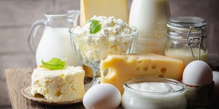 Microbiote : 6 aliments qui contiennent des bonnes bactéries pour l'intestin