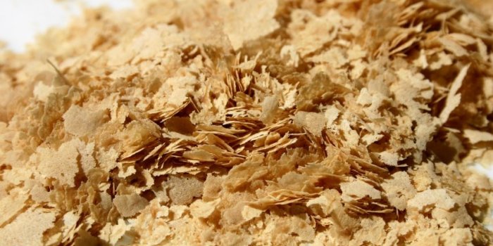 Microbiote : 6 aliments qui contiennent des bonnes bactéries pour l'intestin