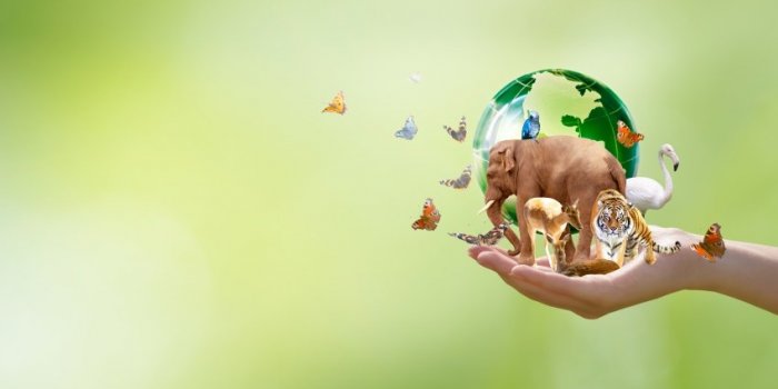 Pandémie : 9 facteurs qui mènent à une épidémie mondiale