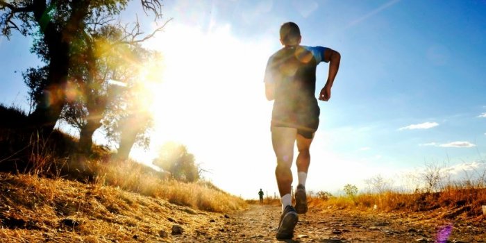 Canicule : 8 bons rÃ©flexes Ã  adopter lors dâune vague de chaleur