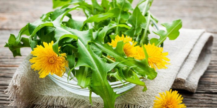 5 lÃ©gumes Ã  feuilles vertes que vous devriez manger tous les jours